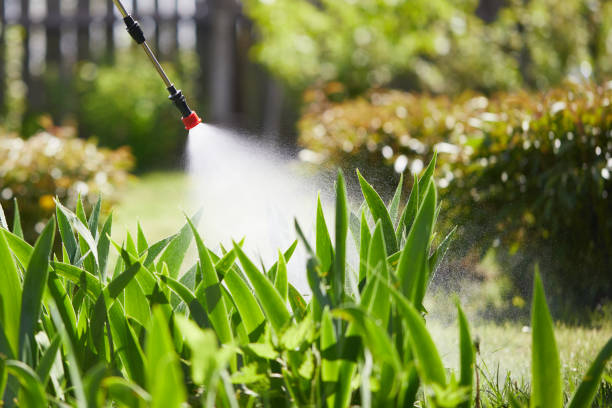 24/7 Emergency Wasp Removal experts in Albany, WI