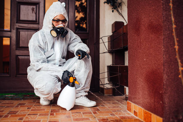 Reliable Wasp Removal contractor in Albany, WI by Show Me Pest Control